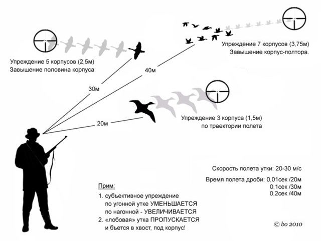 Стрельба по подвижным целям, стрельба навскидку, стрельба влет, стрельба с выцеливание, стрельба с подвижным ружьем, стрельба с поводкой, стрельба с неподвижным ружьем, стрельба с открытыми глазами, тренировка в стрельбе навскидку, стрельба навскидку по уткам