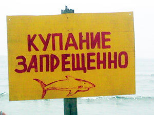 белая акула нападение 