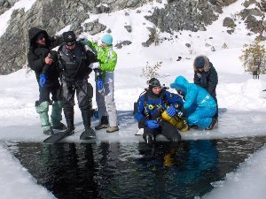 Уральские дайверы нашли в Тоболе кости мамонта